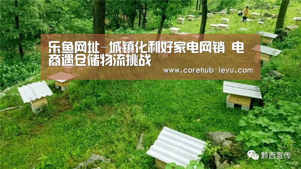 乐鱼网址-城镇化利好家电网销 电商遇仓储物流挑战(图2) 乐鱼官网