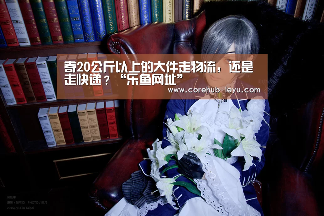寄20公斤以上的大件走物流,还是走快递?“乐鱼网址”(图1) 乐鱼网址