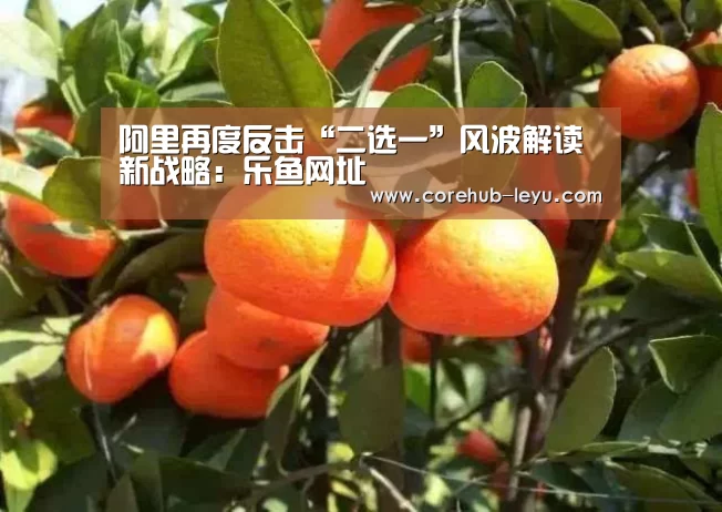 阿里再度反击“二选一”风波解读新战略:乐鱼网址(图1) 乐鱼官网