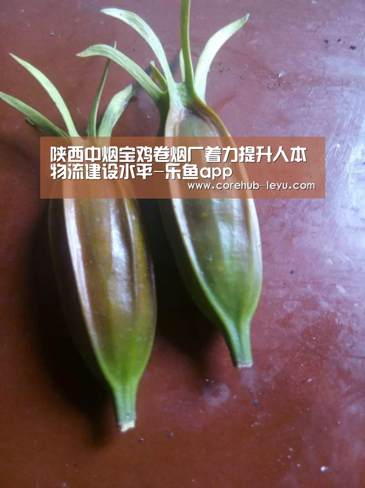 陕西中烟宝鸡卷烟厂着力提升人本物流建设水平-乐鱼app(图1) 乐鱼网址
