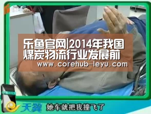 乐鱼官网|2014年我国煤炭物流行业发展前景分析